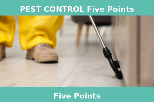 PEST CONTROL Five Points